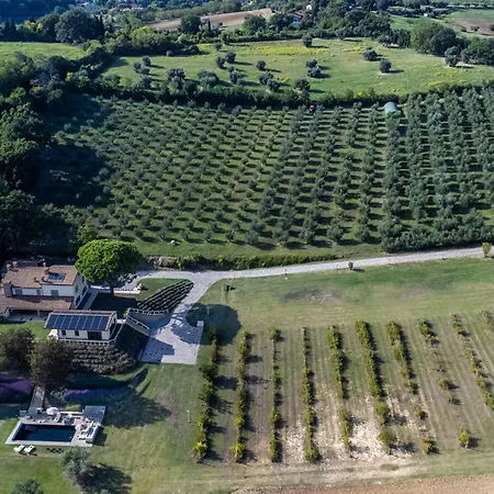 וילה Casale Astralis 13 By Marche Saltara